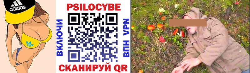 Псилоцибиновые грибы Psilocybe  Купить где  Смоленск 